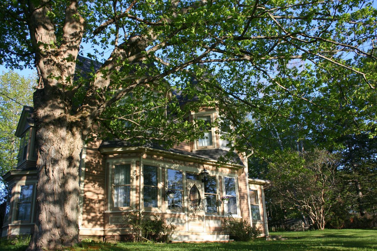 Sackville Bed And Breakfast Bagian luar foto